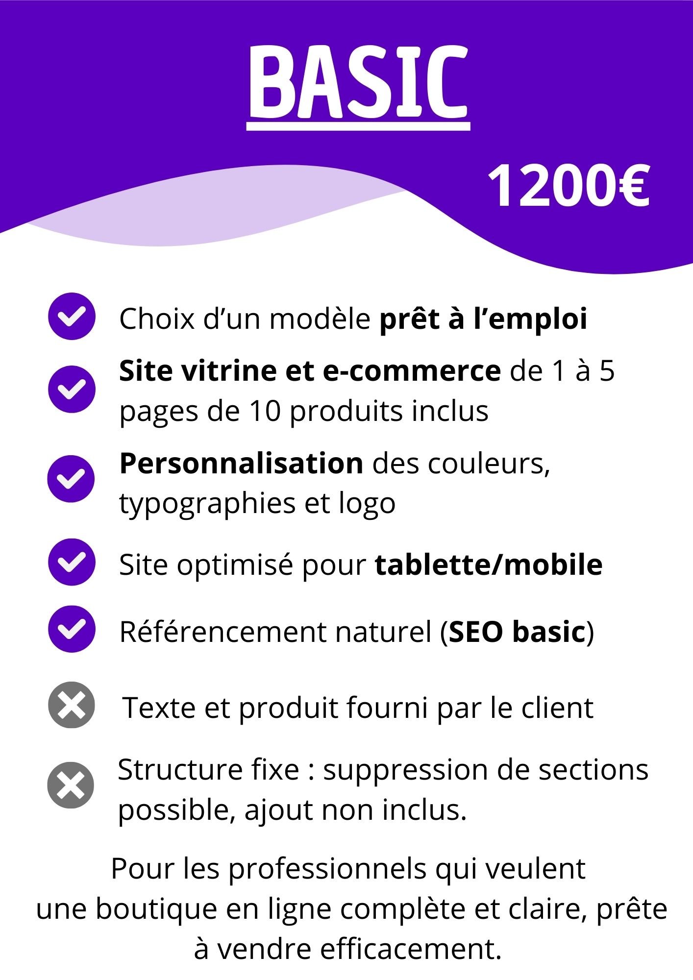 offre basic e-commerce (1)